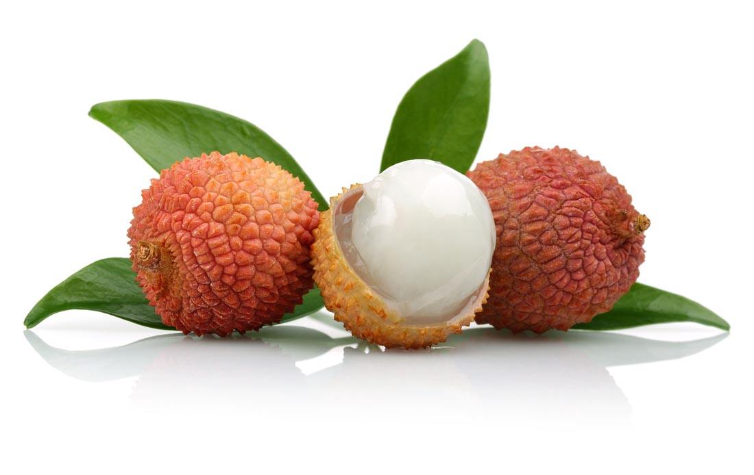 “鮮峰”荔枝專用保鮮劑